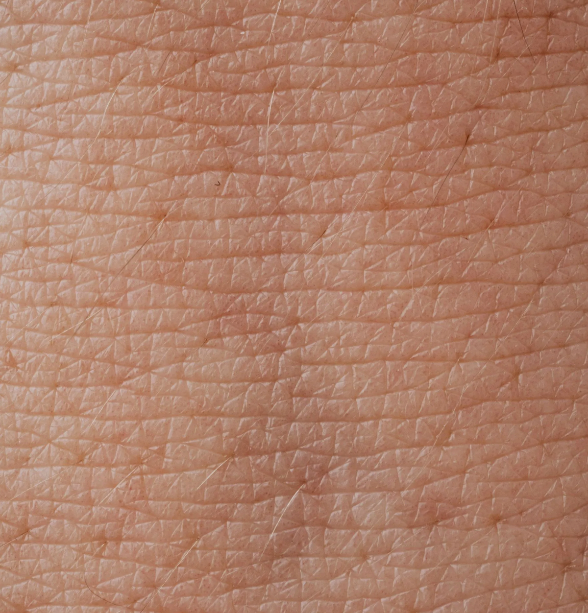 Why Tallow Might Be The Best Lotion For Menopausal Dry Skin