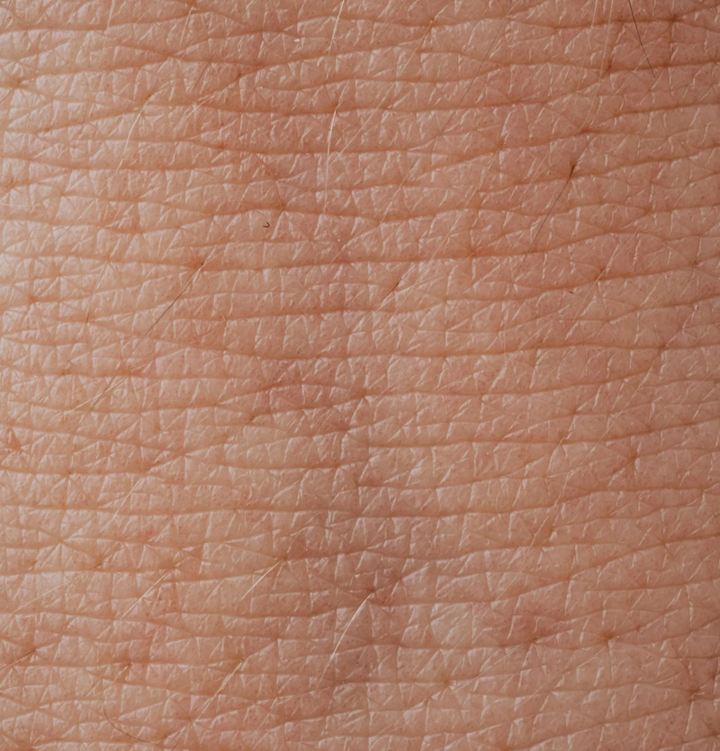 Why Tallow Might Be The Best Lotion For Menopausal Dry Skin